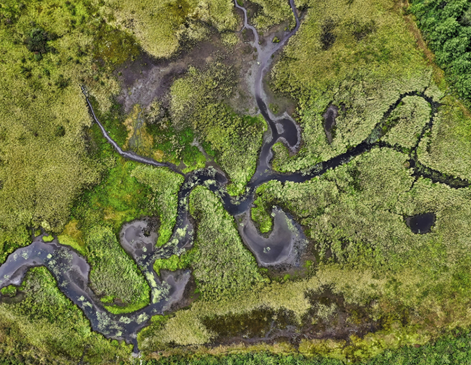 geodiverzita